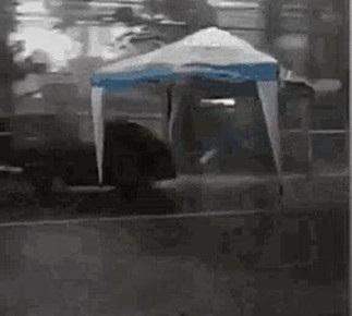 В ночь на 4 января в Севастополе ожидается сильный ветер