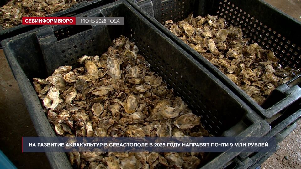 ����� ����: ��� � ����������� ��������� � ��������