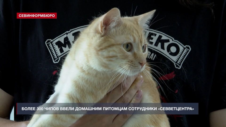 ����� ����: ��� � ����������� ��������� � ��������