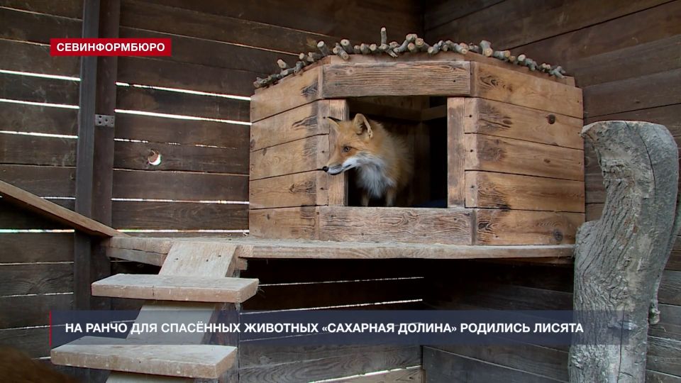 ����� ����: ��� � ����������� ��������� � ��������