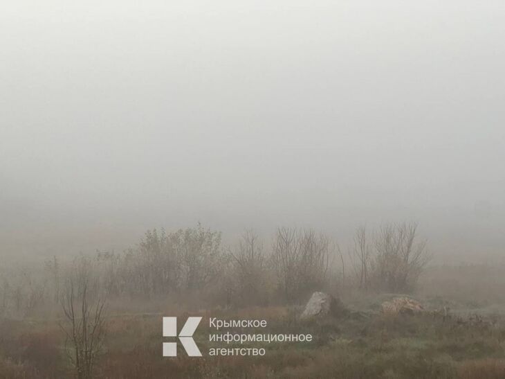По данным Крымского управления по гидрометеорологии и мониторингу окружающей среды утром и в первой половине дня в Симферополе ожидается туман при видимости 200-500 метров