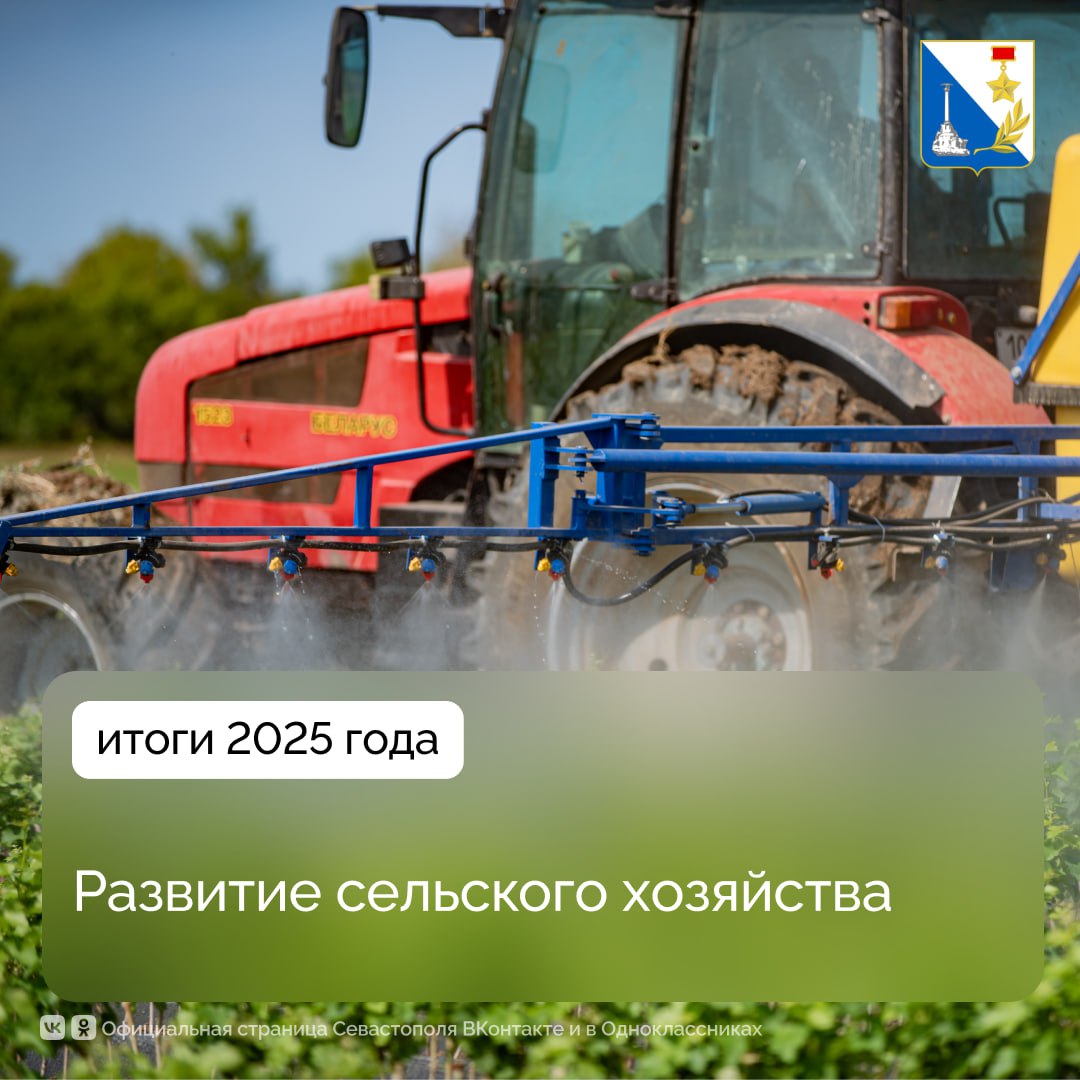 Сельское хозяйство Севастополя в 2025 году показало значительный рост