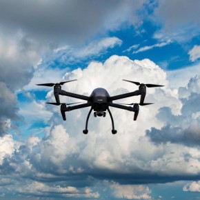 ��� ������, ������ � �������� ������ ����� 11 ���������� ������