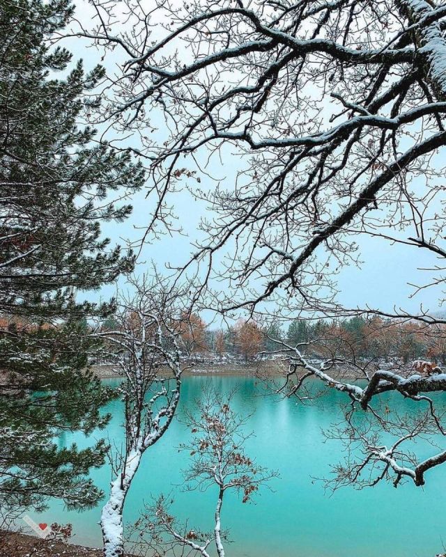 ��������� ����� � ���� ��������� �� ���