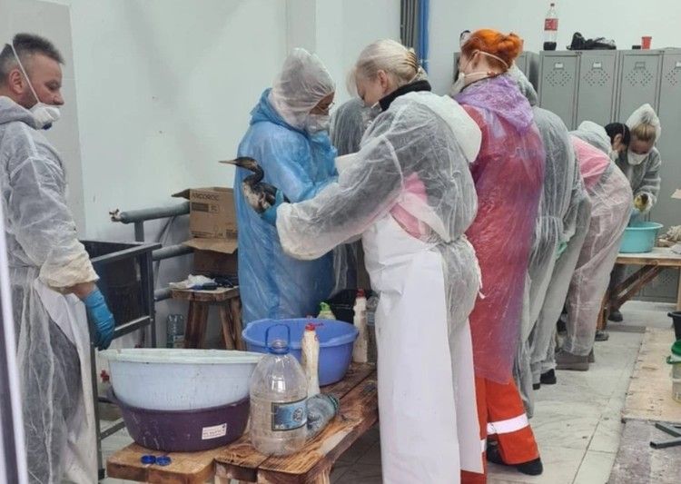 ������ ������ � ���������� �������, ������ ����� � �������� �������, �������� �������� ��-24: ����� ������� ������������ 2025 ����