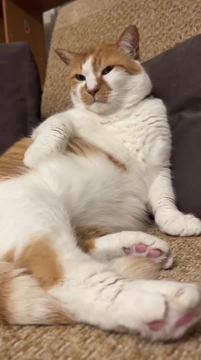 ��� ������: ������ ���� ������ �� ��� �������?