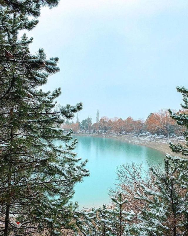 ��������� ����� � ���� ��������� �� ���