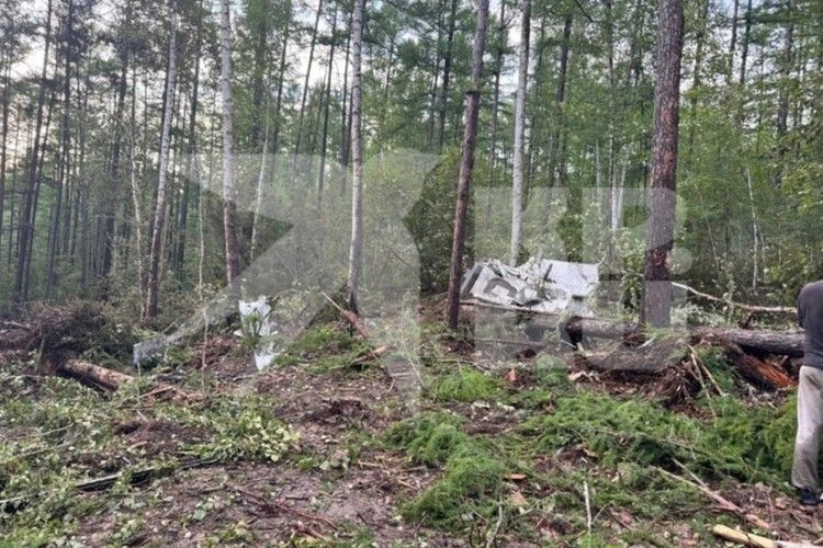 ������ ������ � ���������� �������, ������ ����� � �������� �������, �������� �������� ��-24: ����� ������� ������������ 2025 ����