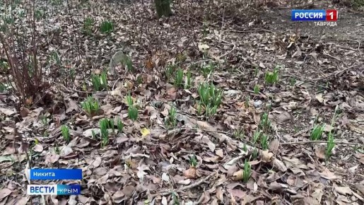 � ��������� ������� ������� ���� � �����������