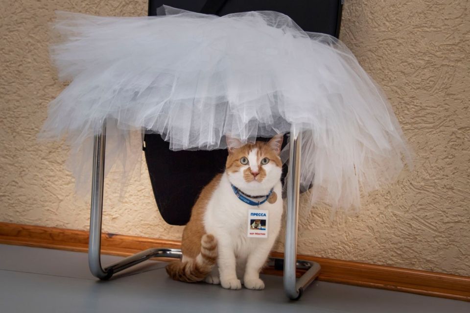 ��� ������: ��� � ���� ������������� �������