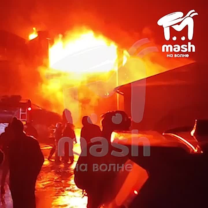 ����� � ��������� "���������" �� �������