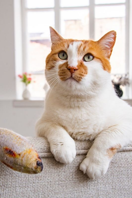 ��� ������: ��������� �������������. � ��� ���� �������!