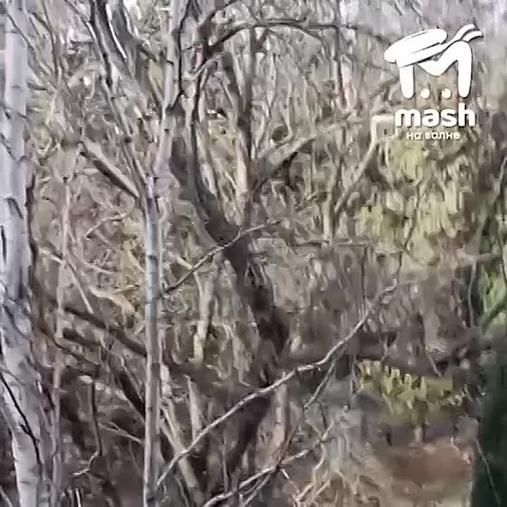 �� ����� ��������� ��������� ��� ���������� ��� ������� ��������