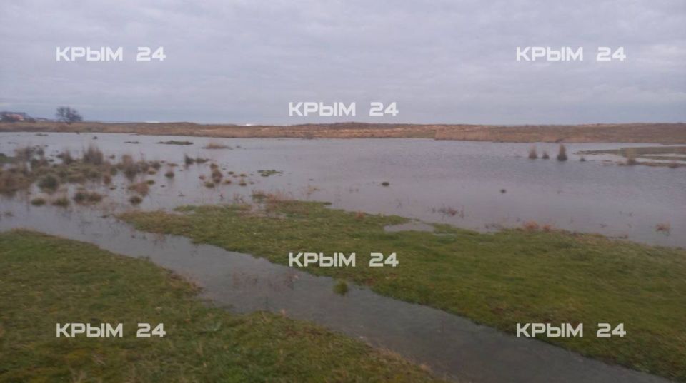 ����� �������� ���������� ���������� � ��������