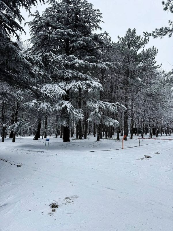 �������� ������������: ������� � ���� ������������ � ������������ ������ ������