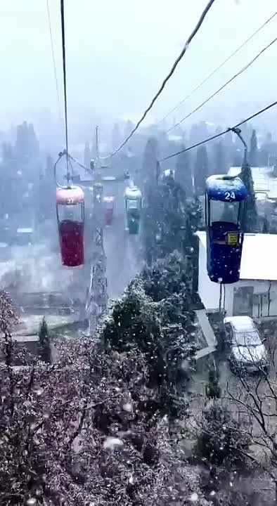 �������� ������ �� �������� ������� � ����