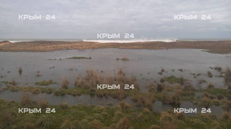 ����� �������� ���������� ���������� � ��������