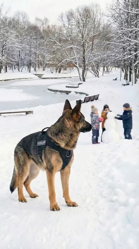 Ирина Волк: Прогулки и игры на свежем воздухе - дело полезное и увлекательное