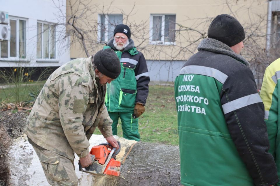 ���� ��������: ������� ������ ����� � �������� �� ����������� ����������� ��������