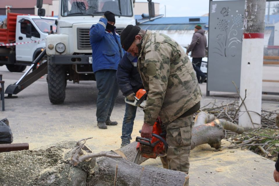 ���� ��������: ������� ������ ����� � �������� �� ����������� ����������� ��������