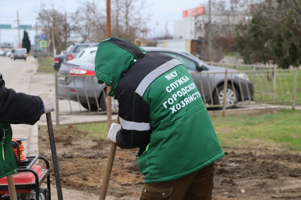 ���� ��������: ���������� ������ � ���������� ��������� � �����