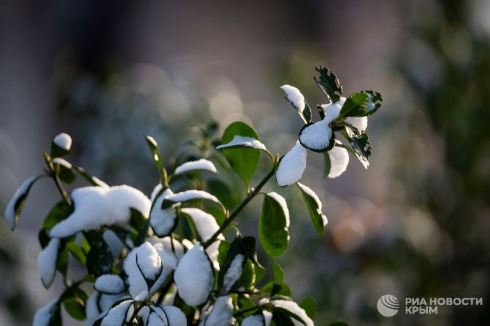 � ���� ����� ���� ������: �������� ����������� ��������� �� -10�