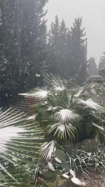 ���� ����: ����. ����. ������