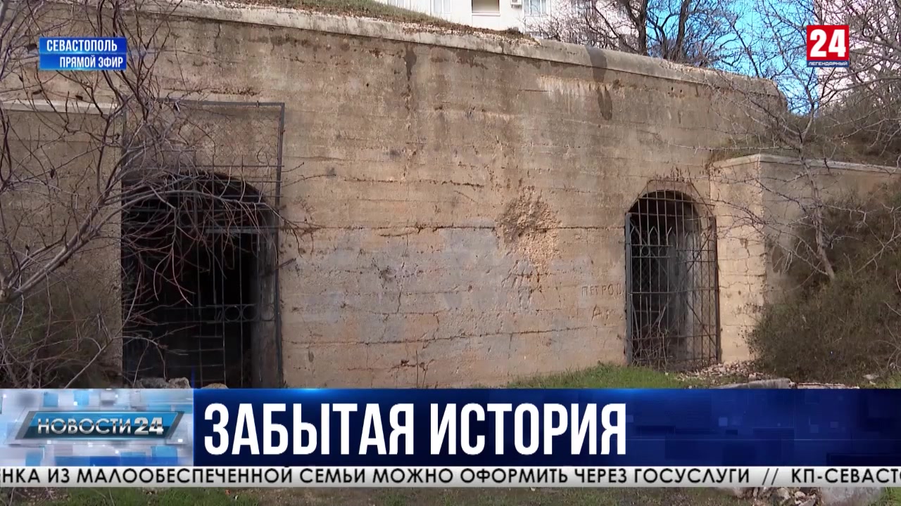 Волонтёры Севастополя создали проект «Южный щит России»