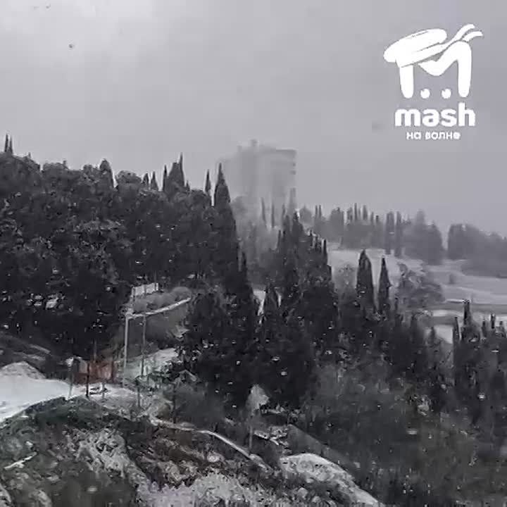 ���������, �� ������� � �������� ���������� ��� �������� � ��������� ������������ ����