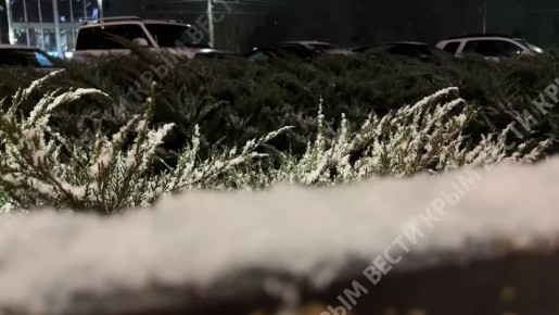 �������� ������� � �����. ����� ���� | MAX