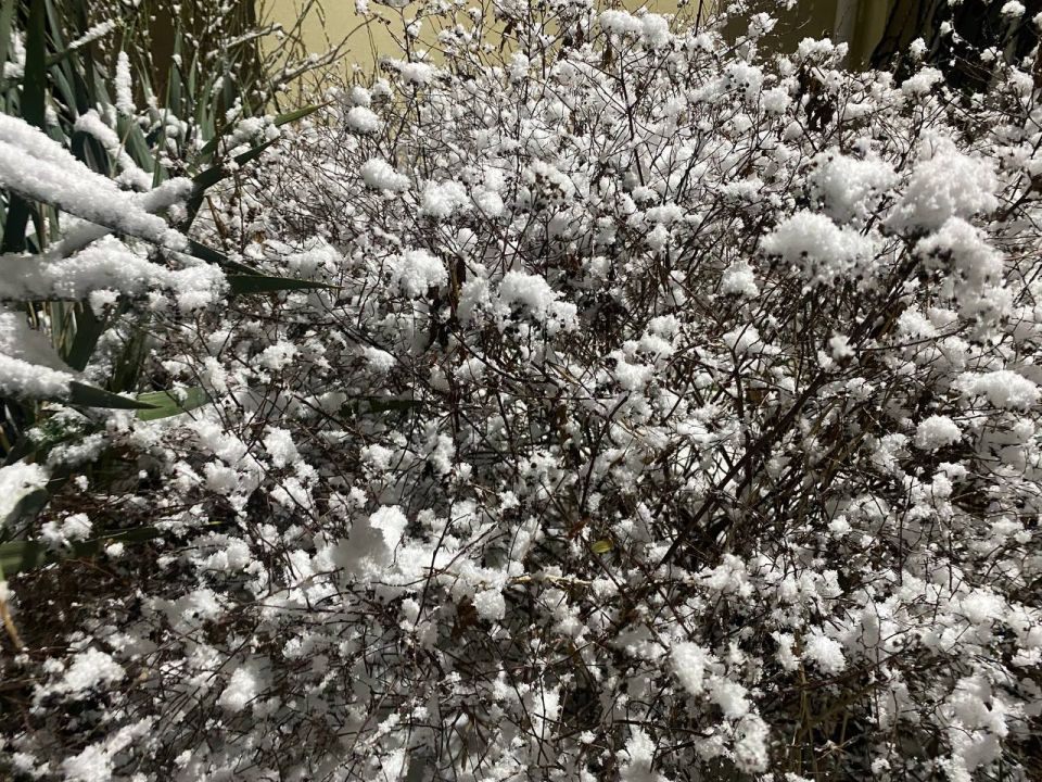 ���� ������: � � ����� ����� ����� ����