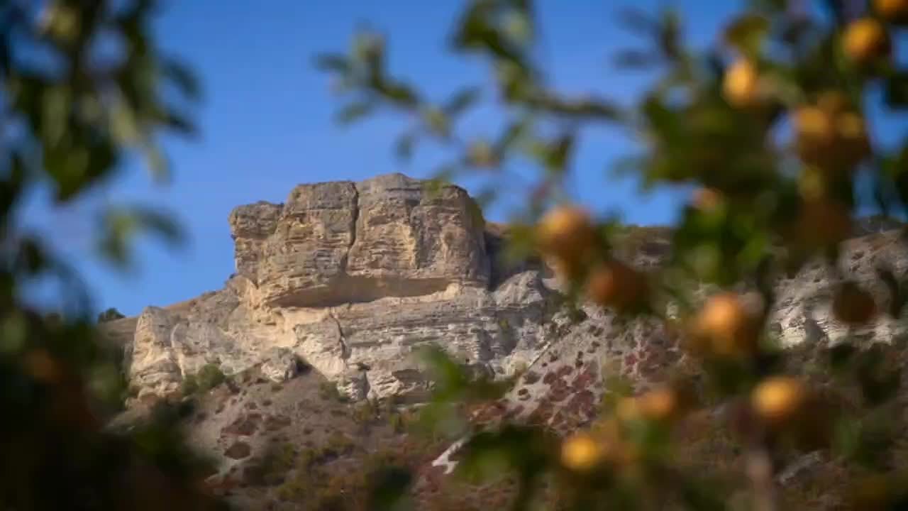 Продукты социальной группы доступны всем категориям граждан