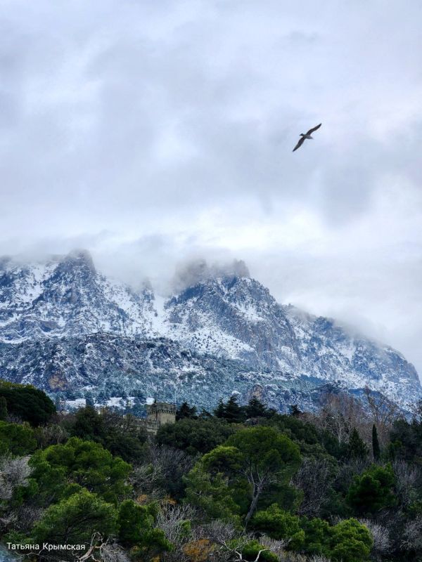 ��-����� � ����� - ��� ������ ����� �������