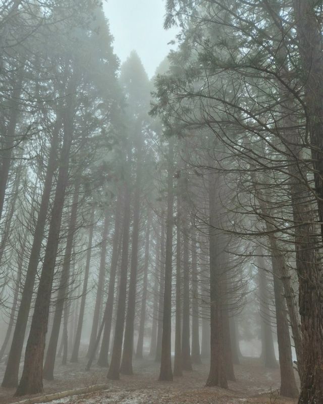 ���� ������ � �����-���� � ������