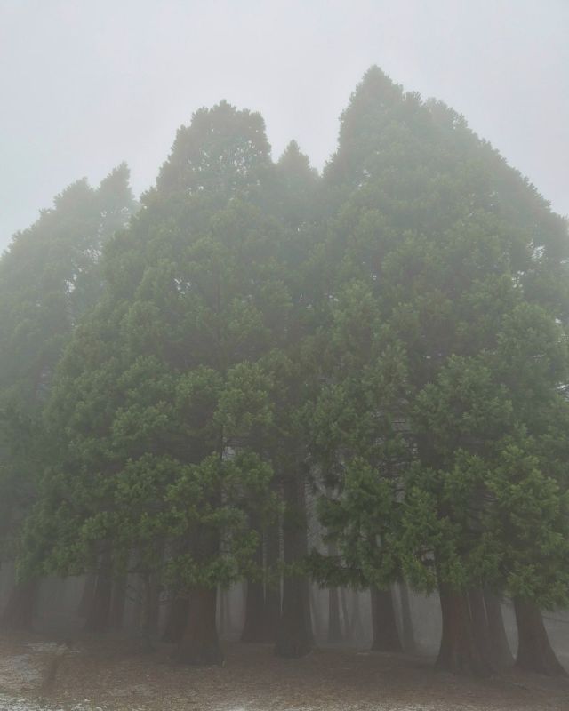 ���� ������ � �����-���� � ������