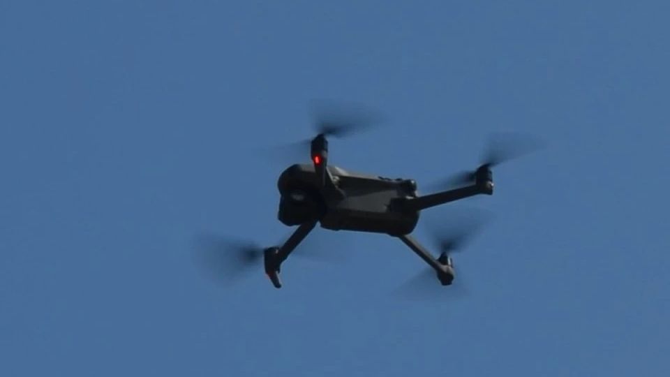 ��������� �����: ��� �������� ����� ����� ���������� �����������