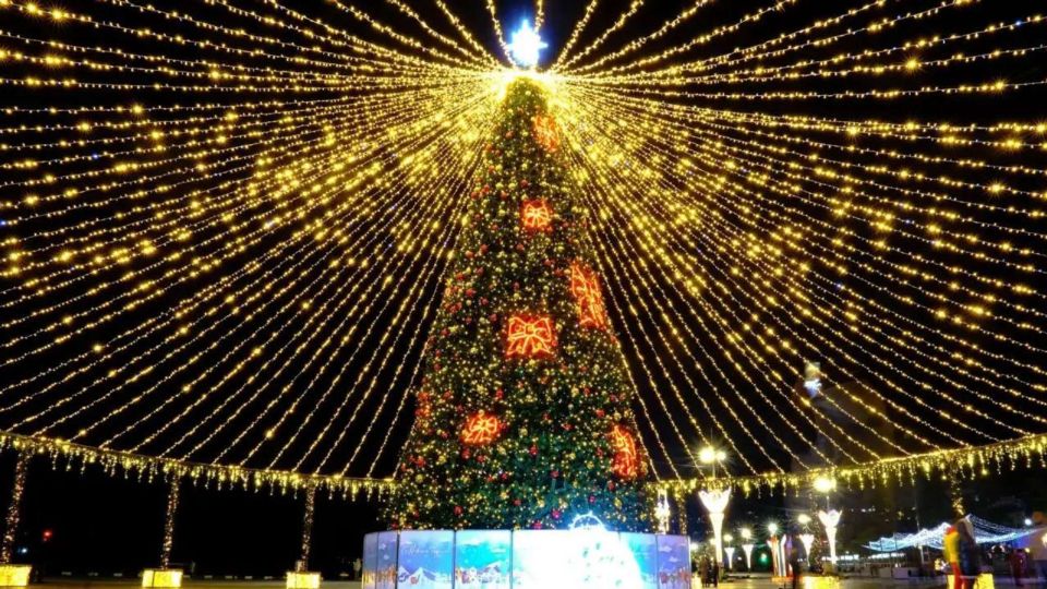 �� 20 ����� ������ �������������: � ���� ��������� ���������� ��������