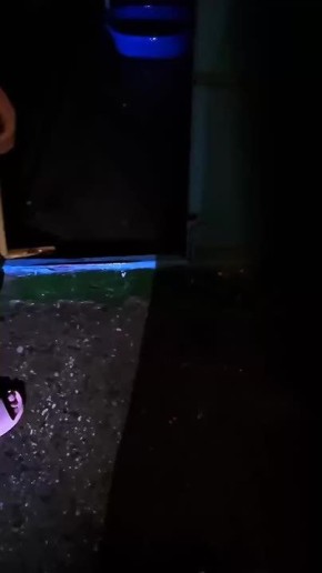 Александр Коц: В Киеве потекли многоэтажки