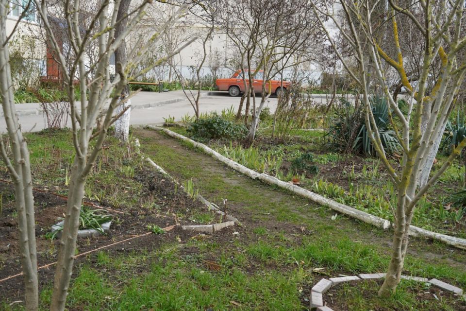 ����� ������������� ����� ���� �������� ������ ������� � �������� ��. �������� �������, 8