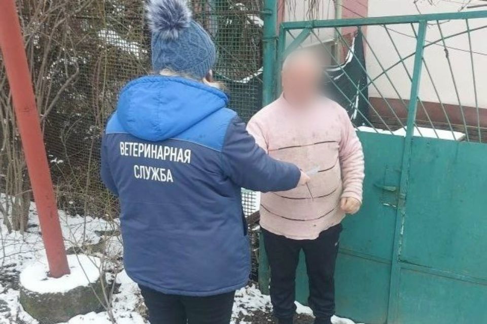 ���� ������� ���� ����� ��� �������