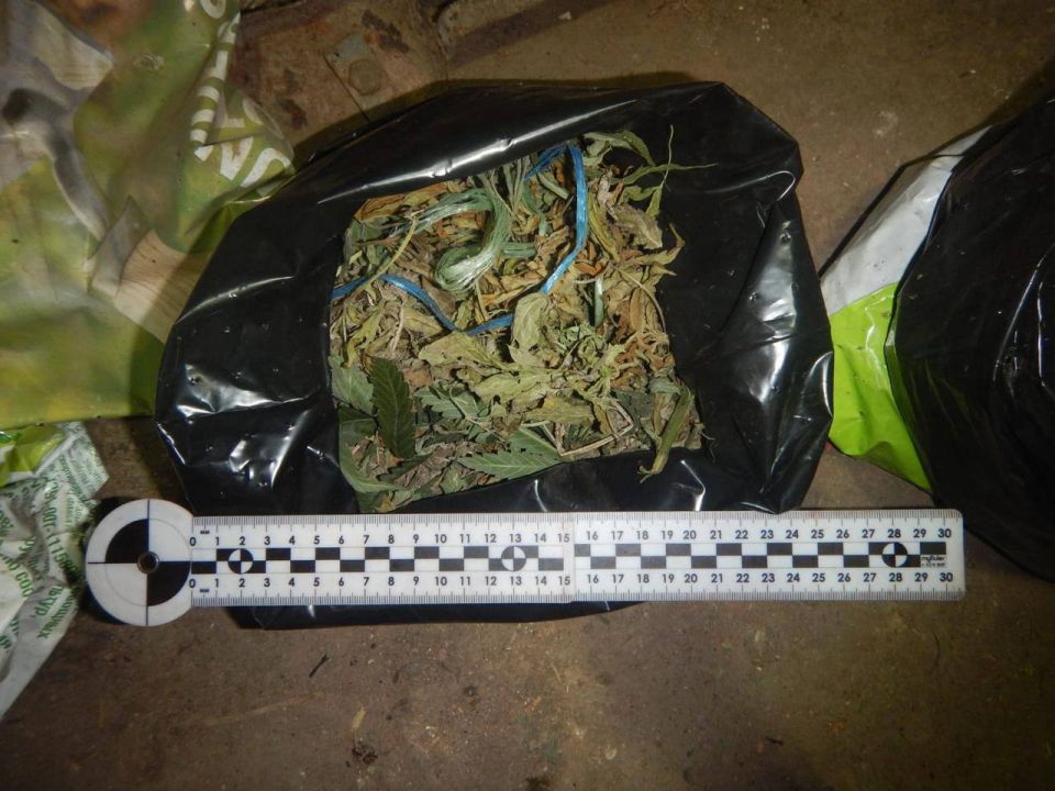 �������� ������ ���� 2,5 �� ���������