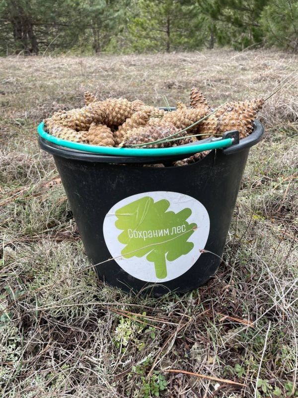 ����� �������: ��������� ����� � ������ � ��������� ��� � �������������� ����� �����