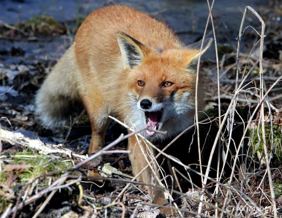 � ����� ������������� ������ ��������� ����� ����� ��������