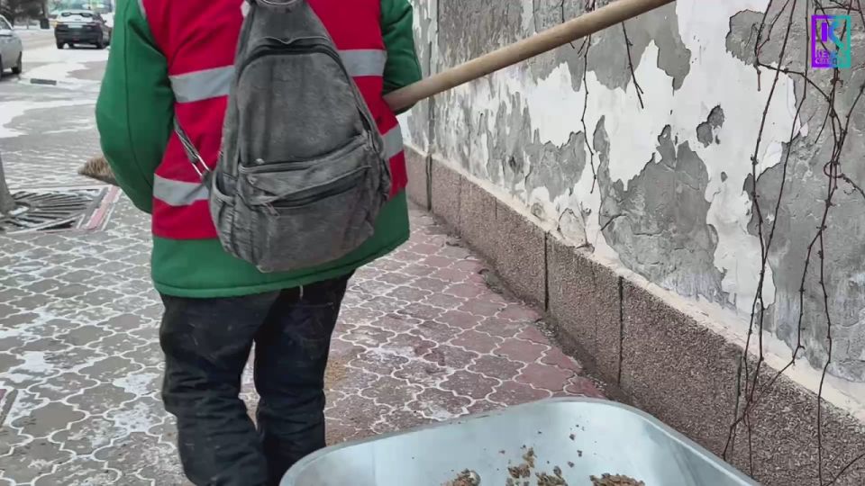 ���� ��������: ������ ����� � ����� ���� ����, ������������ ��������� �����������