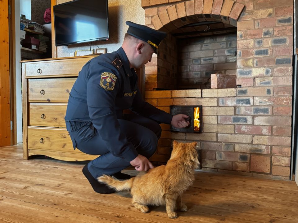 �������� ������������ ���o� � ������ ����������