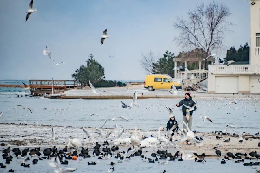 Спасатели и медики обеспечат безопасность на девяти официальных купелях Спасатели и медики обеспечат безопасность на девяти официальных купелях