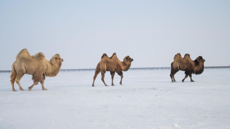 ������ 1000 ��������, ������� �� ������ �������, �������� �������� � ����������� "�������-����" �� ������� ������