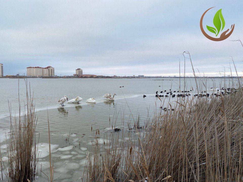 ������ �� ����� �����-����� � � �������