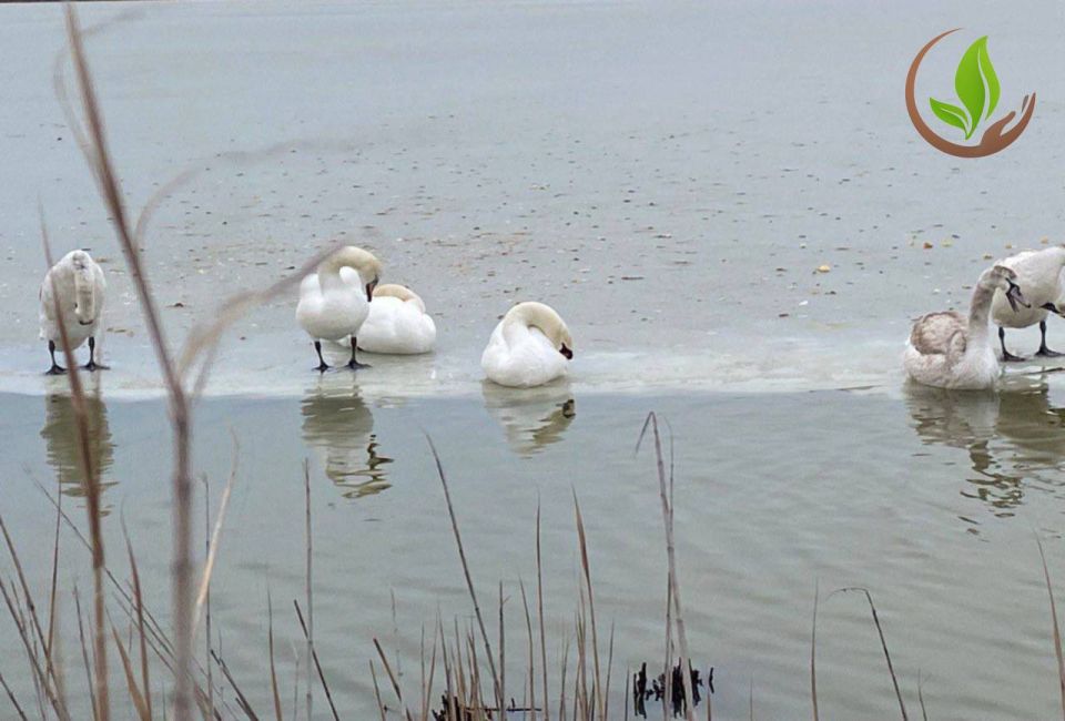 ������ �� ����� �����-����� � � �������