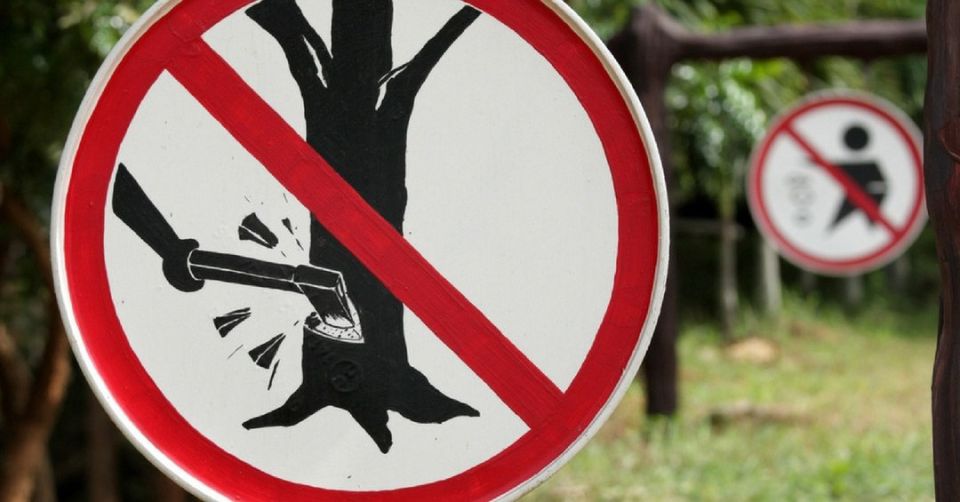 ������������� ��������������� ������ ���������� ���� ��������� � ���������� ������, ����������� ��� ������� ������������ ����� ��������, ���������� � ������� �����